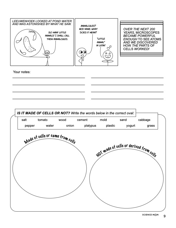 Sample note page 2
