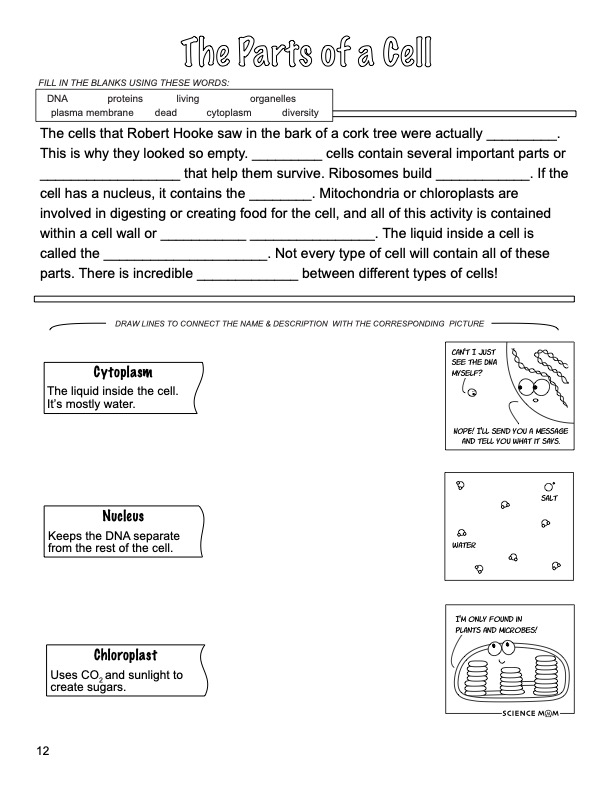 Sample note page 3