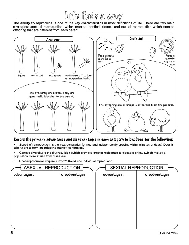Sample note page 1
