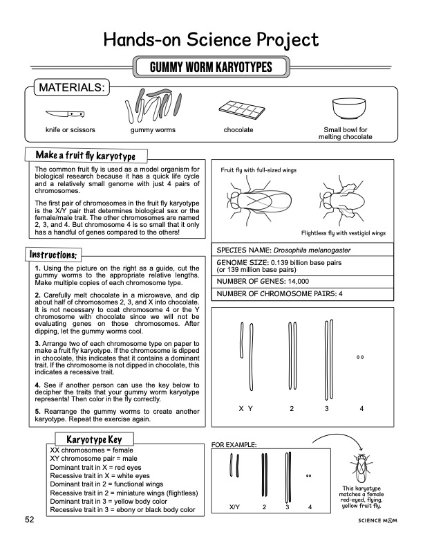 Sample note page 4