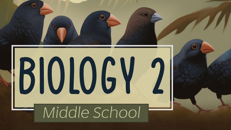 Biology 2: Genetics course thumbnail