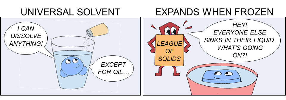 Cartoon depiction of water having capillary action and ice being less dense than liquid water.