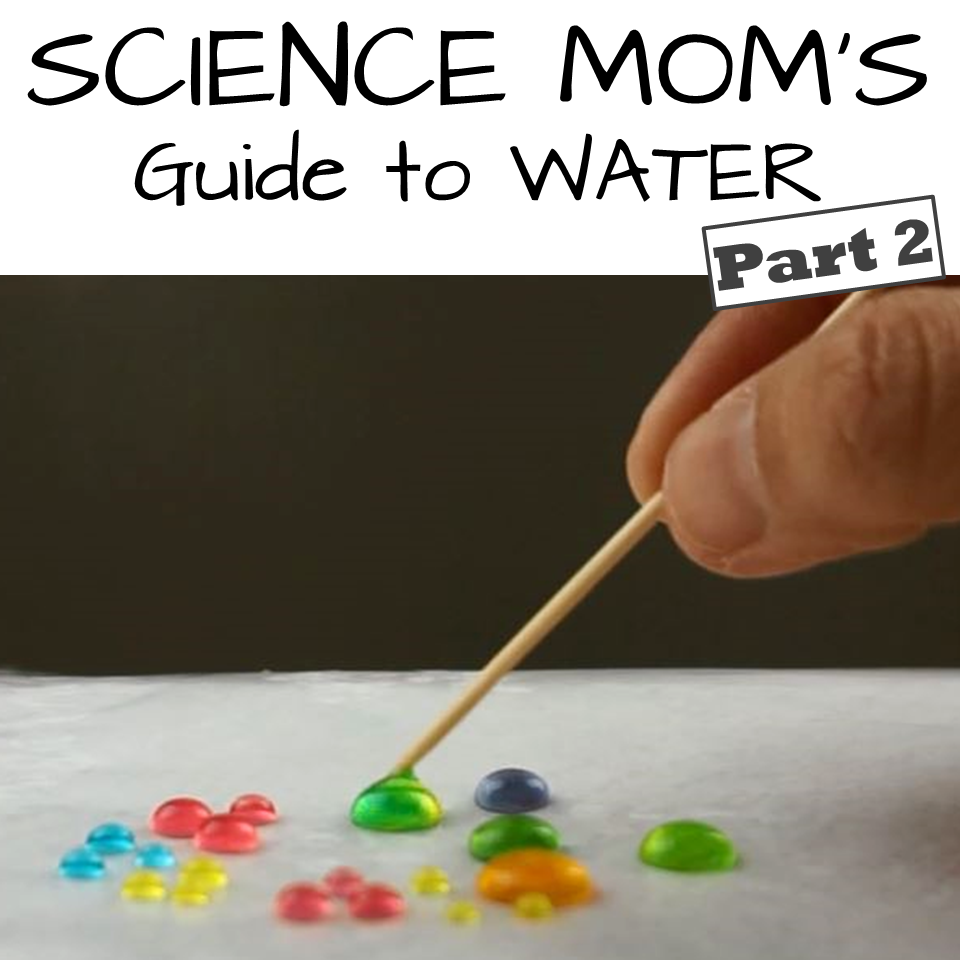 Water has the strongest surface tension of any non-metallic liquid. In this guide we explore just how strong surface tension is--and how it can change--through several hands-on activities.