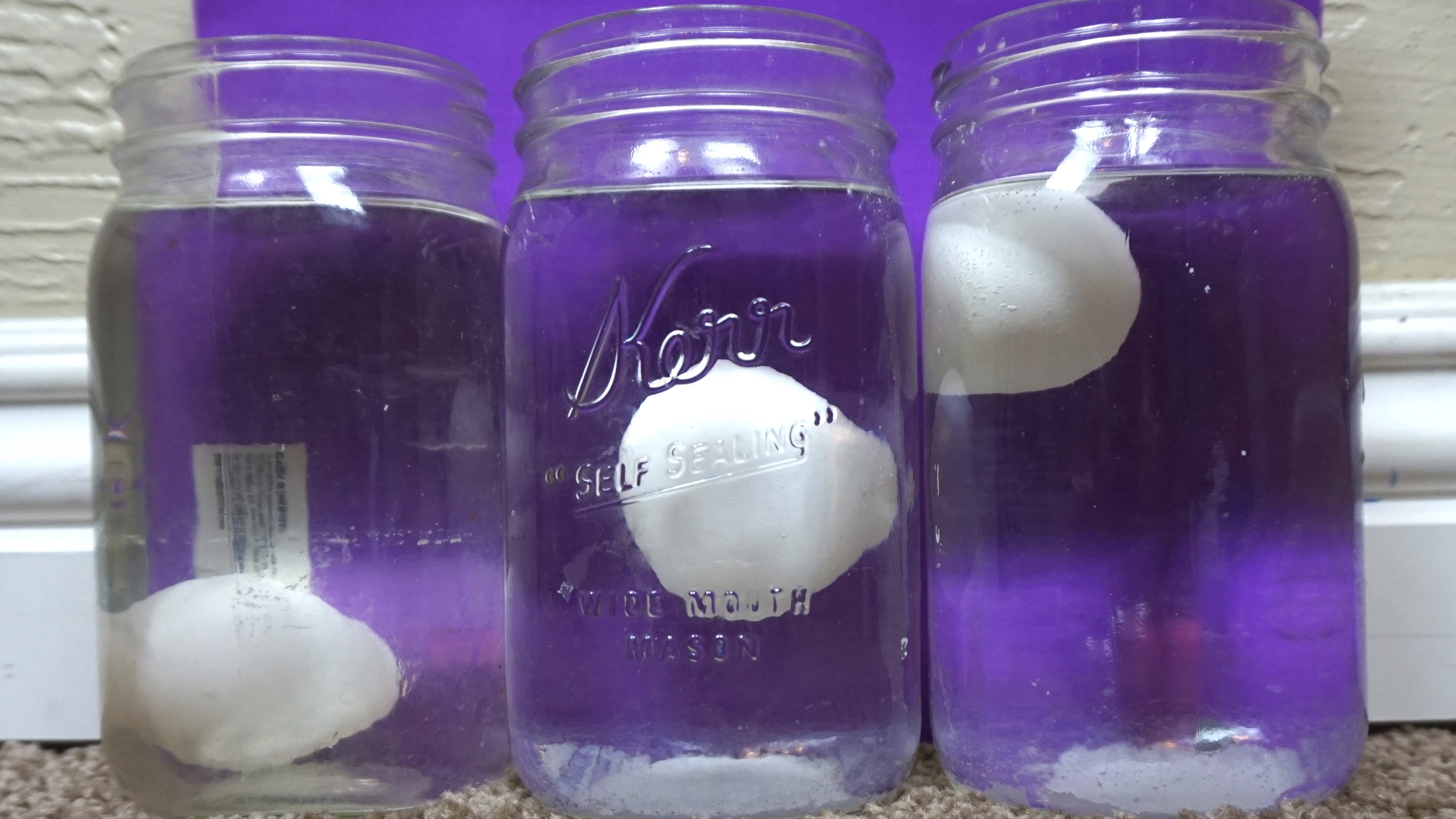 Eggs in freshwater (left), resting on a halocline (middle), and salt water (right).