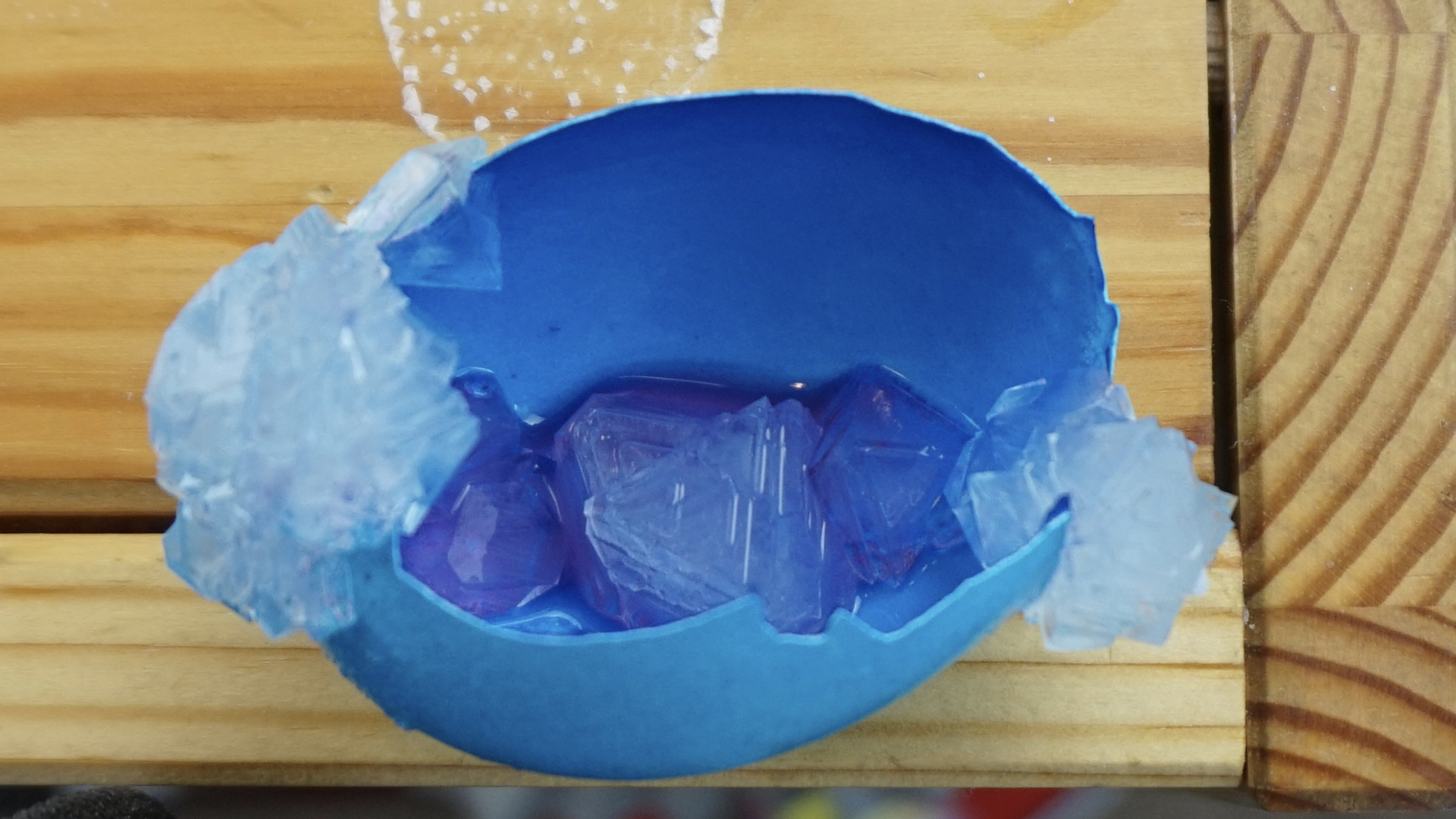 An eggshell with an unusual growth of alum crystals.