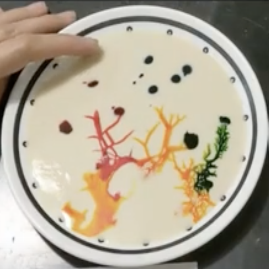 Create beautiful rainbow colors in milk using soap and food coloring.