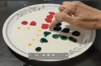 rainbow milk experiment gif
